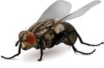 BROS-Muchospray-250ml-5.png