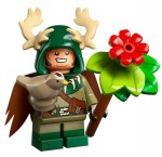71047-LEGO-Minifigures-Dungeons-&-Dragons-NIZIOŁEK-DRUID-1.jpg