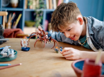 76434-LEGO-Harry-Potter-Aragog-w-Zakazanym-Lesie™-6.png