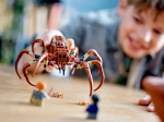 76434-LEGO-Harry-Potter-Aragog-w-Zakazanym-Lesie™-7.png