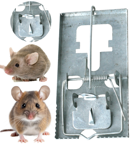 BROS-łapka-na-szczury-metalowa-1.png