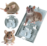 BROS-łapka-na-szczury-metalowa-3.png