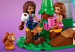 41677-LEGO-Friends-Leśny-wodospad-16.jpg