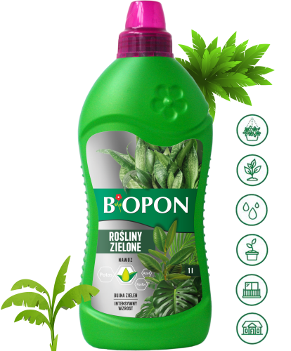 BOPON-Nawóz-do-roślin-zielonych-płyn-1L-1.png