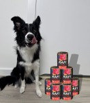 Zestaw-12x400g-Karma-Mokra-Dla-Psów-RAFI-MIX-Smaków-(Jagnięcina, Wołowina)-7.jpg