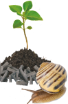 BROS-NATURALNIE-bariera-na-ślimaki-1-kg-3.png