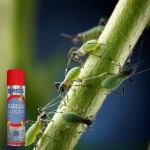 BROS-Parcan-AE-zwalcza-mszyce-spray-250ml-4.jpg