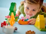 10452-LEGO-DUPLO-Wyprawa-na-biwak-4.jpg
