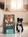 Sucha-Karma-Dla-Psa-RAFI-JUNIOR-z-Jagnięciną-3-kg- 1-szt.-6.jpg