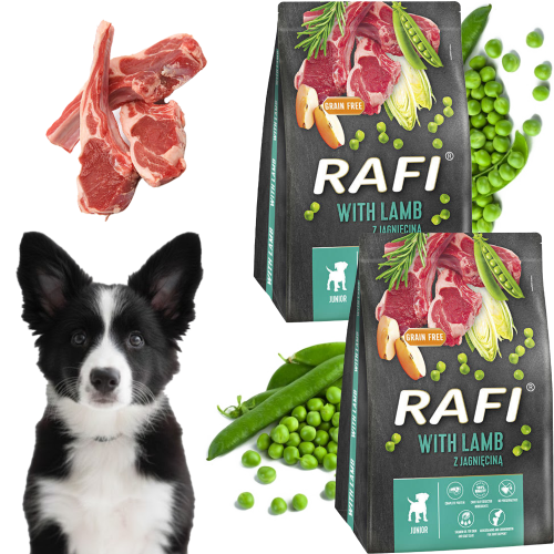 Sucha-Karma-Dla-Psa-RAFI-JUNIOR-z-Jagnięciną-3-kg-2-szt.-1.png