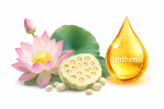 AURA-Care-Mydło-Do-Rąk-Uzupełniające-Kwiat-Lotosu-i-Pantenol-1000-ml-AHW-002-007-11.png