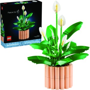 11504 - LEGO The Botanical Collection - Skrzydłokwiat