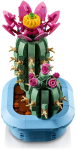 ec918a59bfb3e55a3948e8938945f764.png