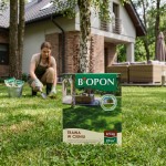 BOPON-Trawa-W-Cieniu-Do-Miejsc-Słabo-Nasłonecznionych-20-m²-0,5kg-5.png