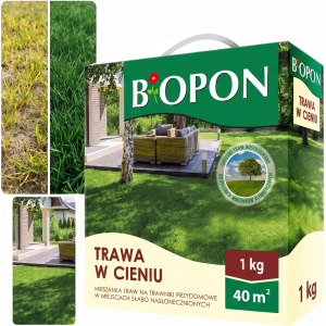 BOPON - Trawa W Cieniu Do Miejsc Słabo Nasłonecznionych 40 m² - 1 kg
