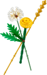 9500d9a7dc329c1e4bb3e382b34a31af.png