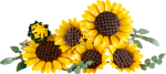 9b7927bb50661feb1c61f23f7a75e4e5.png