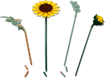 b56e1a66e560ddeb2b7608b228d1c080.png