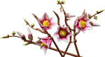 d070c91b120bc0cfe6b287b5eee93487.png