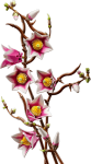 6c93e1cc9bfa0da0aa06f1bef9834cea.png