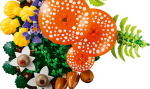 d8b8cc11a35cc42937b0f7fdc2270221.png