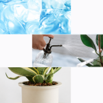 2cc27018acc46610de078eb5df554a13.png