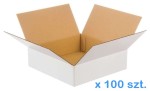100.jpg
