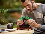 10281-LEGO-Creator-Drzewko-bonsai-9.jpeg