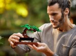 10281-LEGO-Creator-Drzewko-bonsai-10.jpeg