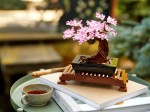 10281-LEGO-Creator-Drzewko-bonsai-12.jpeg