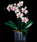 10311-LEGO-Icons-Orchidea-3.png