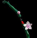 10311-LEGO-Icons-Orchidea-5.png