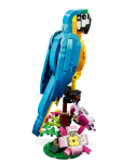 31136-LEGO-Creator-Egzotyczna-papuga-3.png