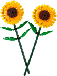 40524-LEGO-Icons-Słoneczniki-1.png