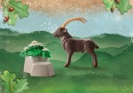 Playmobil - 71050 - Wiltopia Koziorożec-3.jpg