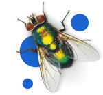 BROS-spray-na-komary-i-kleszcze-50%-DEET-90ml-1-szt-7.png