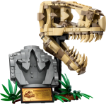 76964-LEGO-Jurassic-World-Szkielety-dinozaurów-czaszka-tyranozaura-1.png