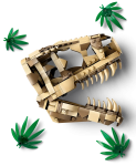 76964-LEGO-Jurassic-World-Szkielety-dinozaurów-czaszka-tyranozaura-3.png