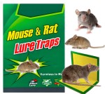 Lep-Na-Myszy-i-Szczury-PAKO-1-szt-7.jpg