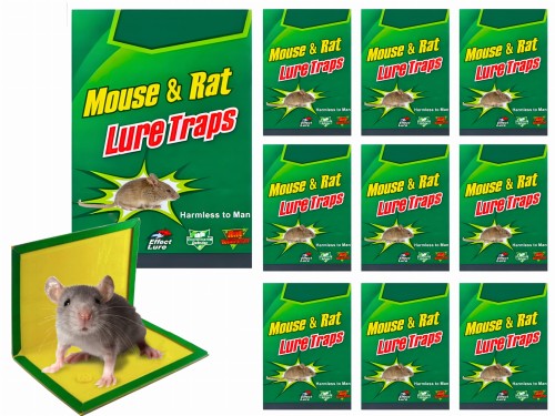 Lep-Na-Myszy-i-Szczury-PAKO-10-szt-14.jpg